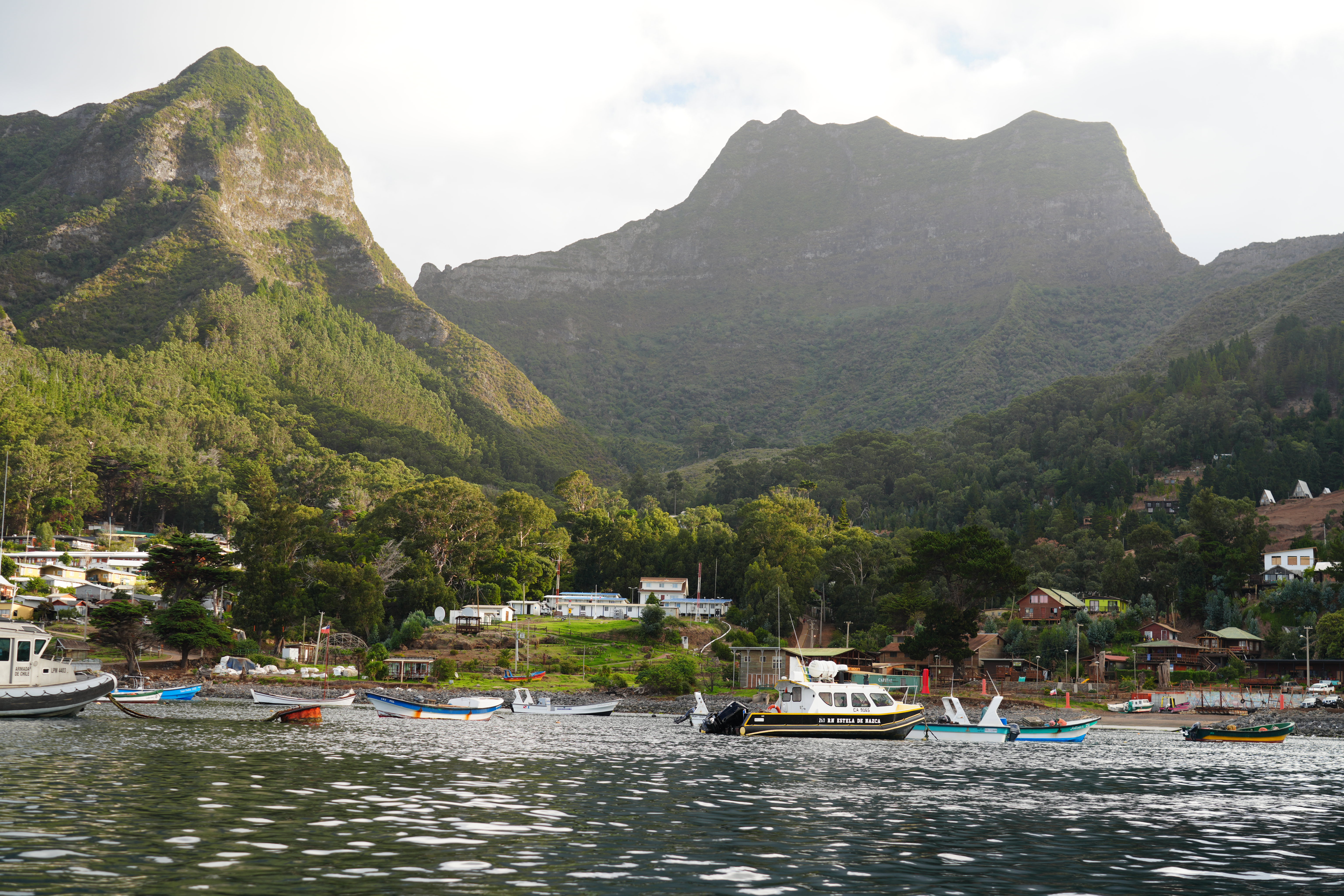 Island_Conservation_Juan_Fernandez