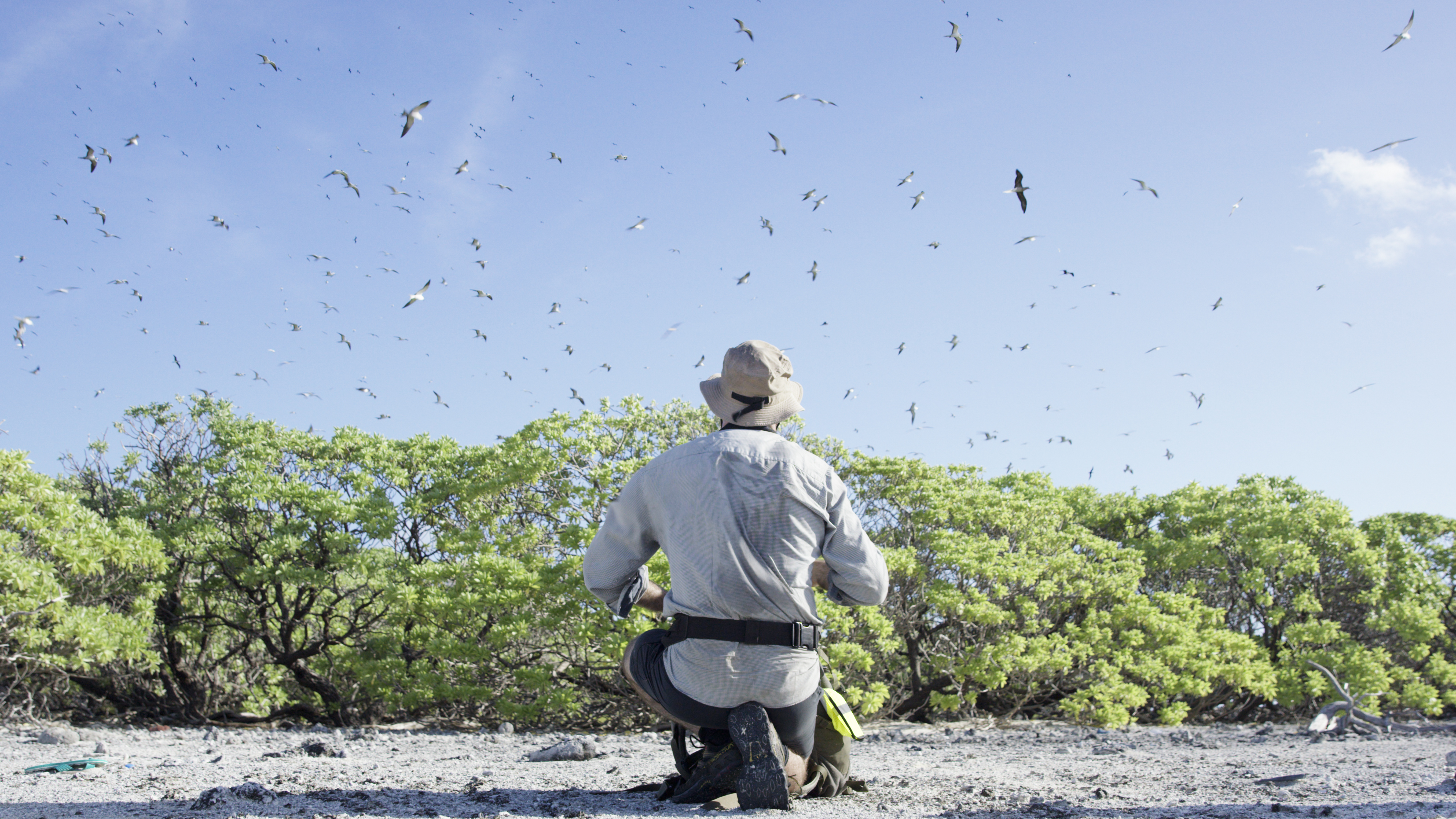 Island_Conservation_Bikar_Paul_Jacques