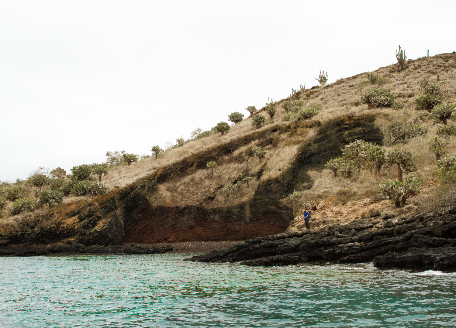 Eden v Reality_blog_image1