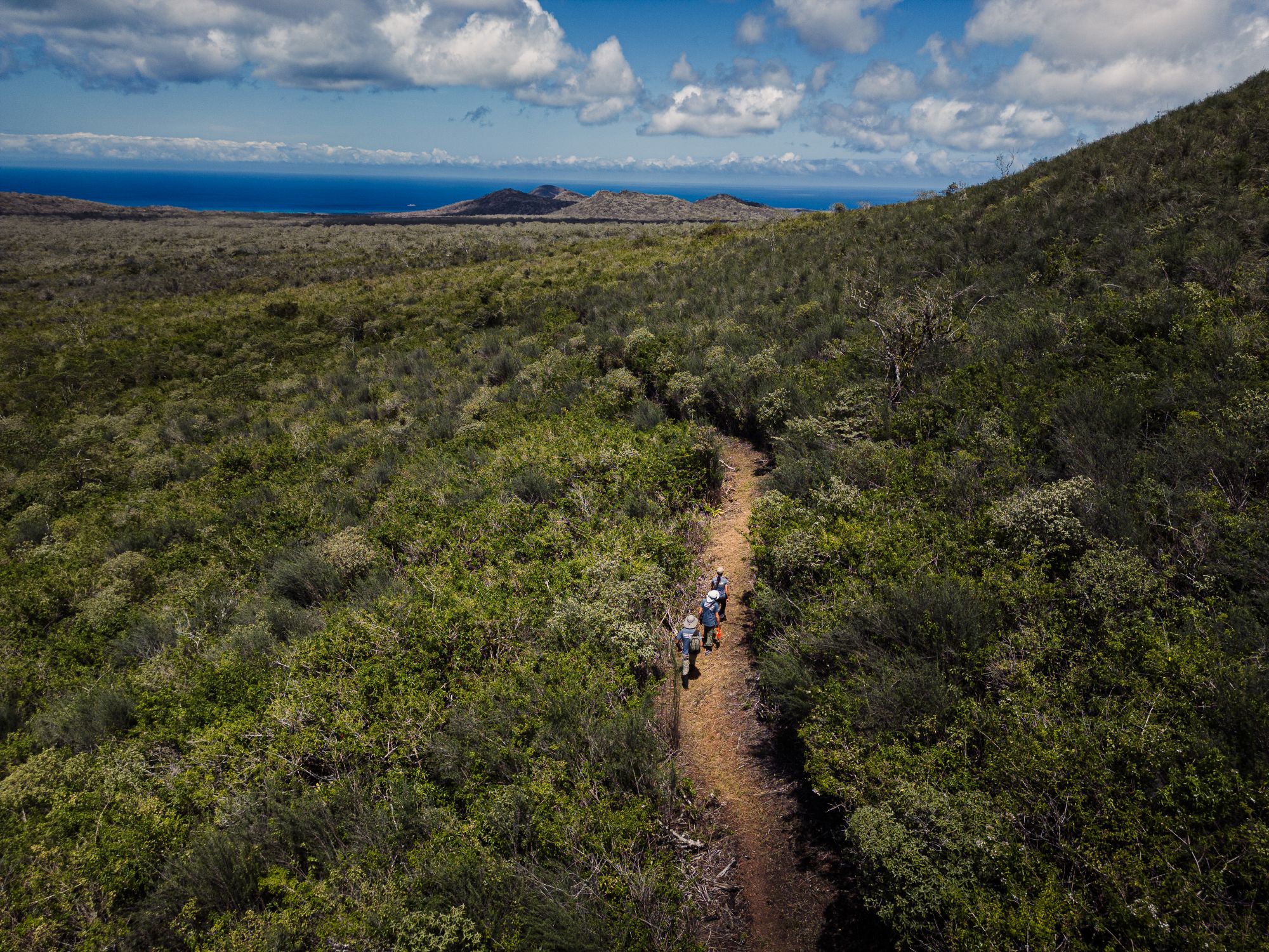 Island-Conservation-Floreana-Carlos-Espinosa