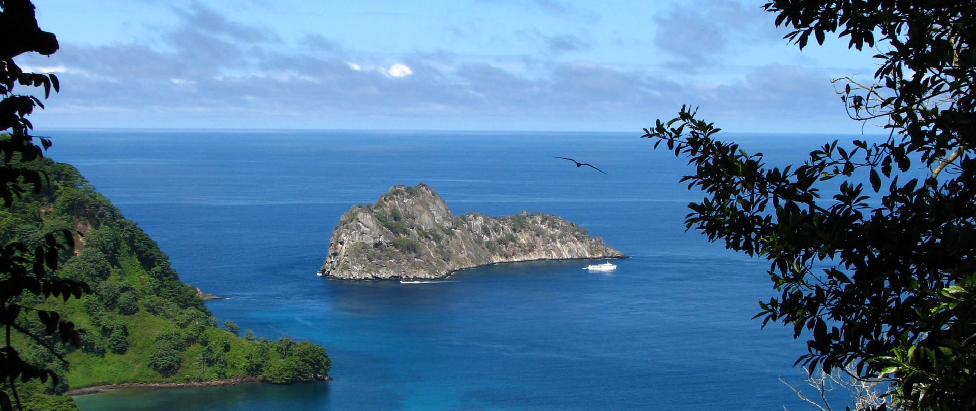 Island Conservation and Blue Action Fund Celebrate Success in Marine Protection for the Eastern Pacific