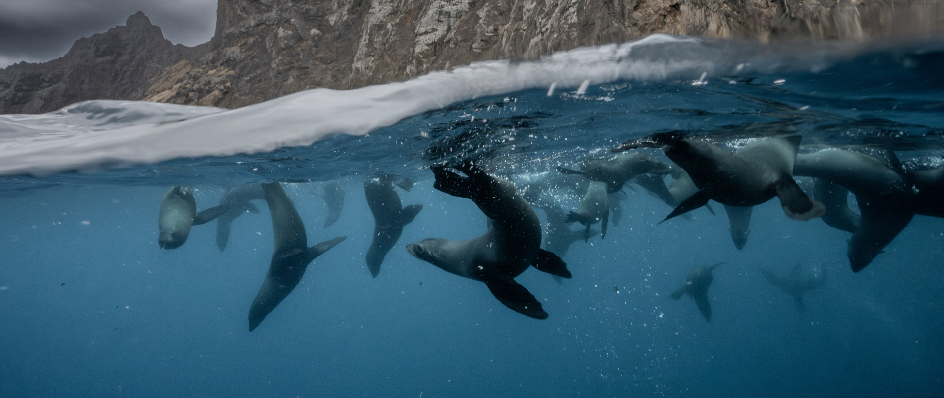 Island_Conservation_Juan_Fernandez_MPA