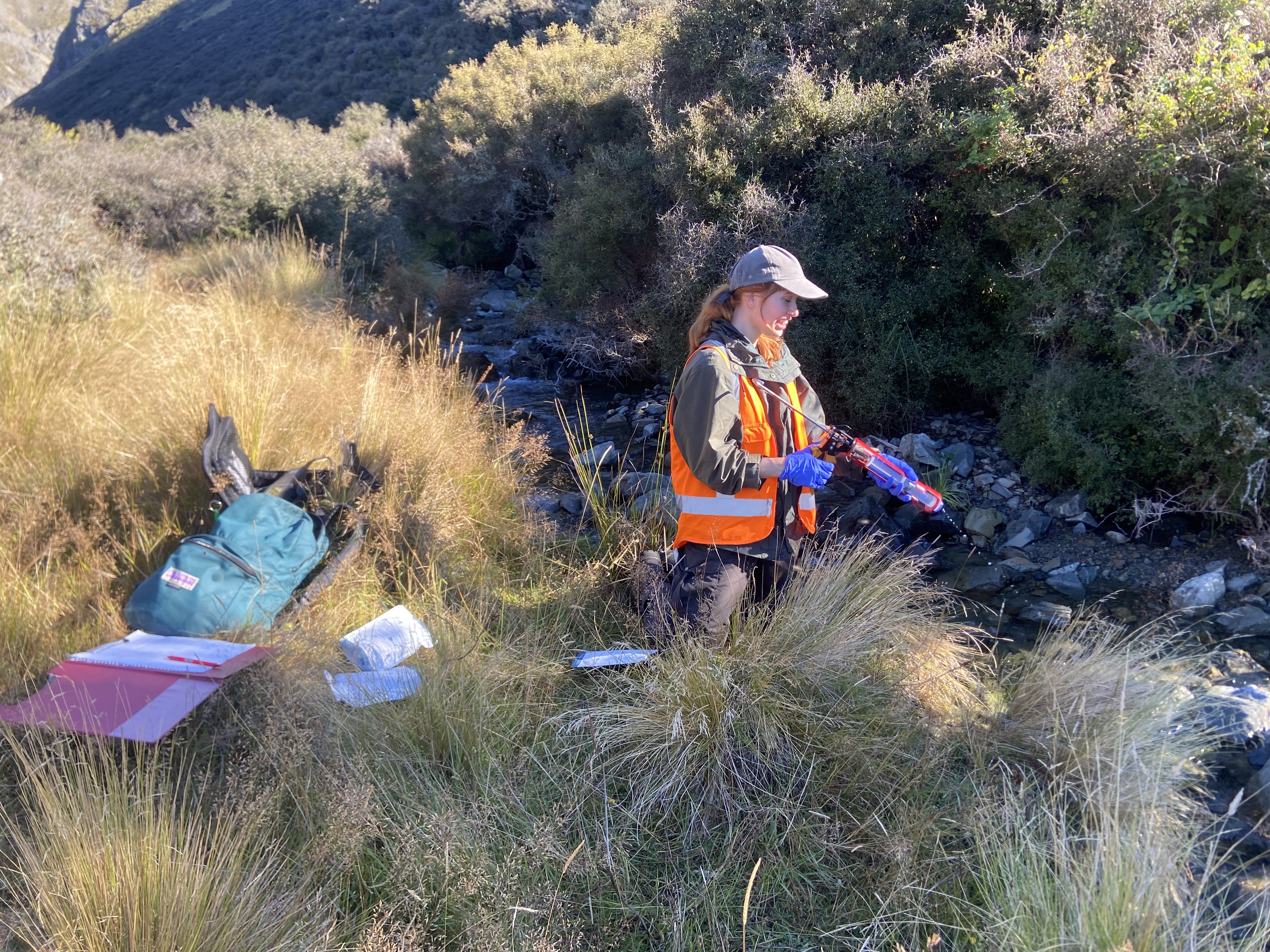Island_Conservation_eDNA_Gracie_Kroos (2) Stream water being filtered to collect environmental DNA. Pictured: Gracie Kroos.