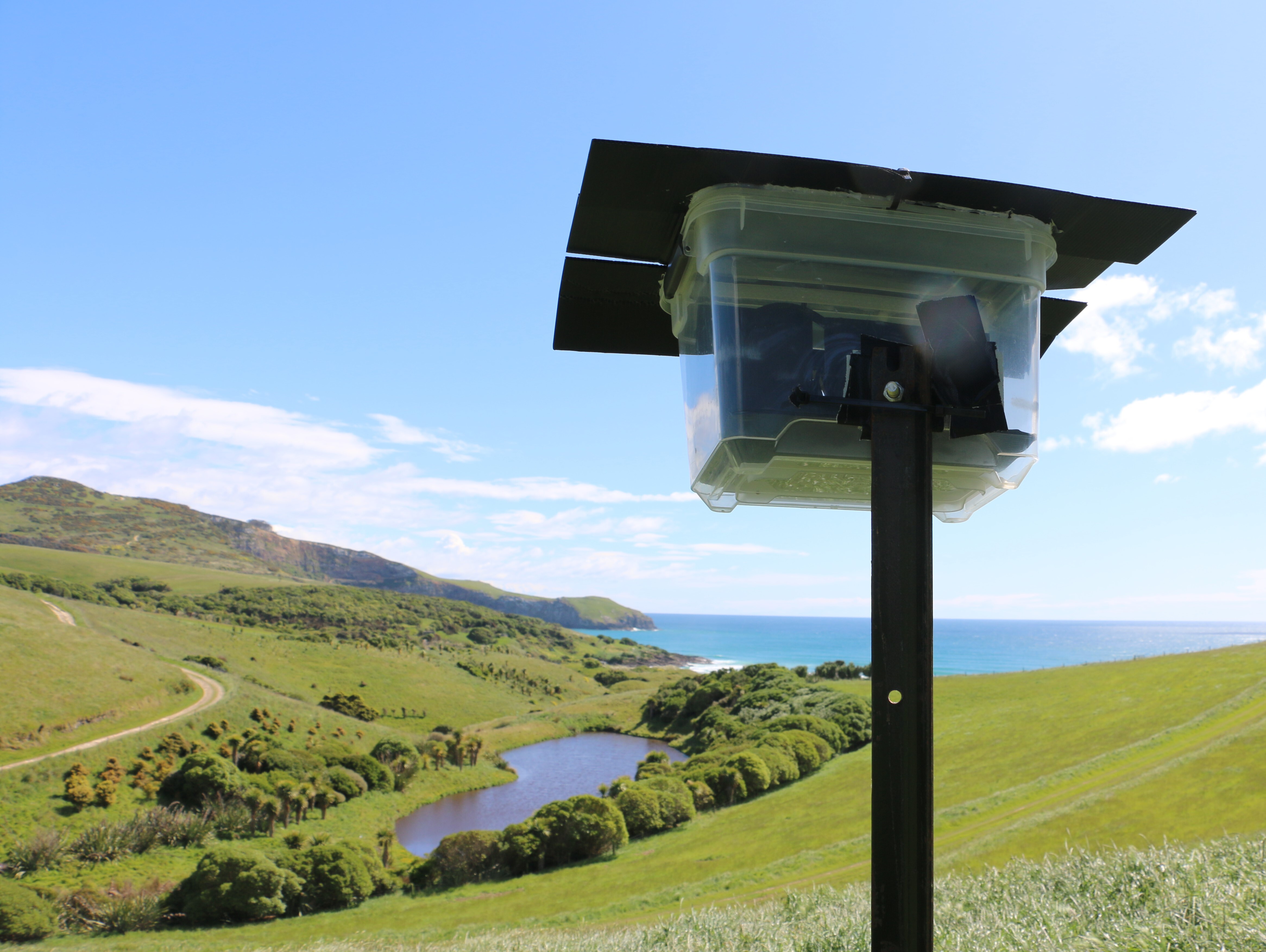Island_Conservation_eDNA_Otago (2) A sampler collecting environmental DNA from the air in Otago Peninsula, New Zealand.