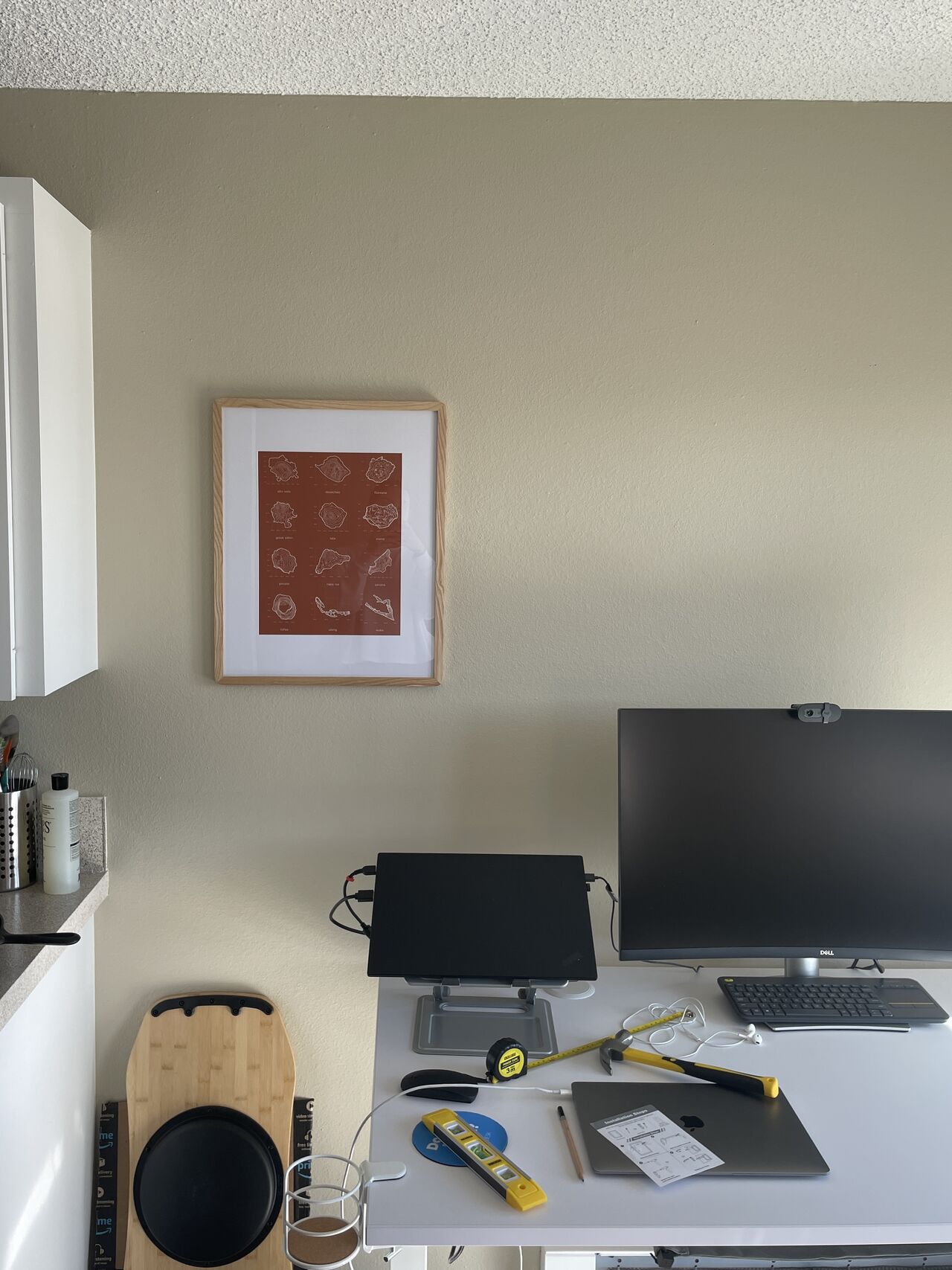 Island_Conservation_Elke_Desk