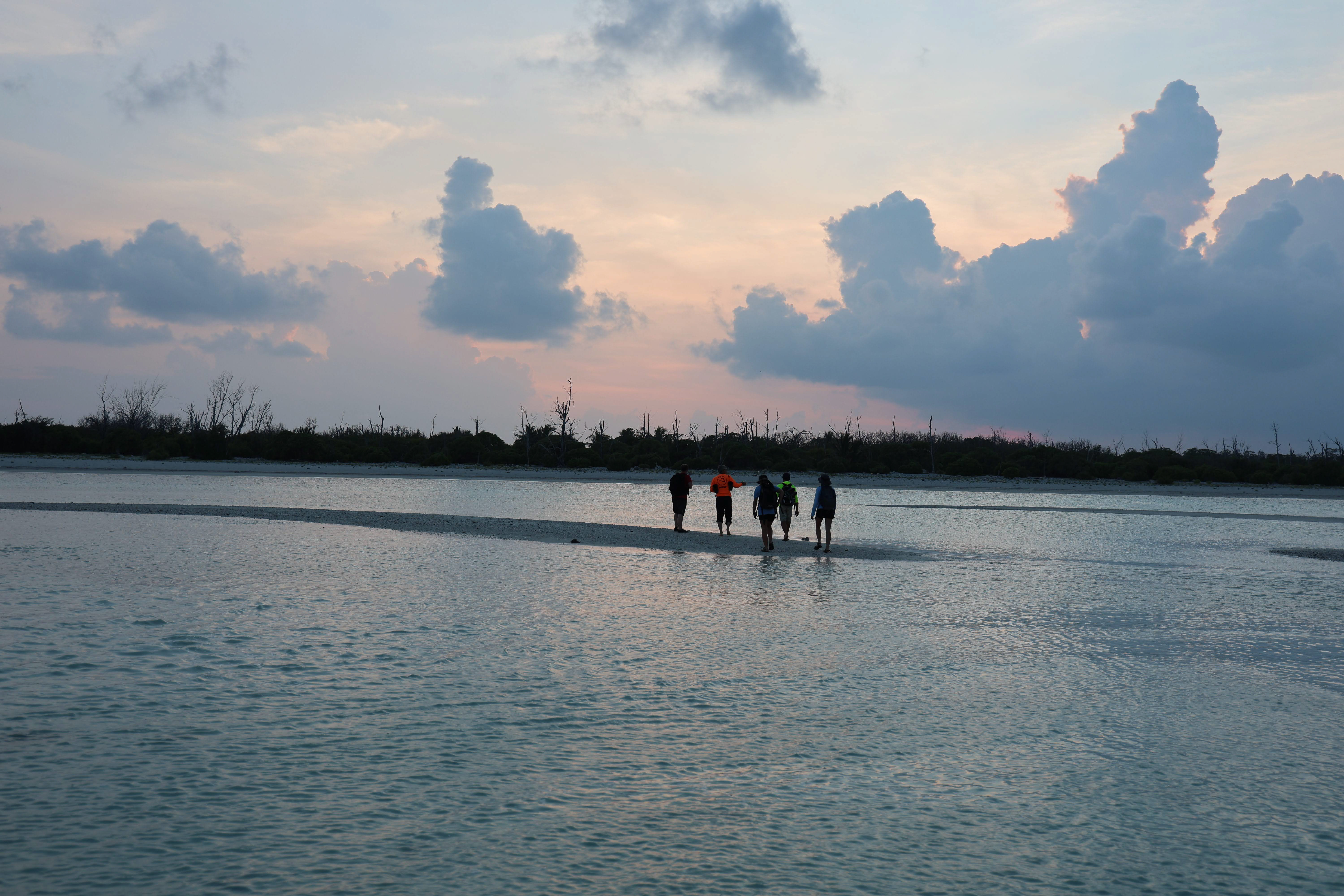 Island_Conservation_Wake_team_Tommy_Hall