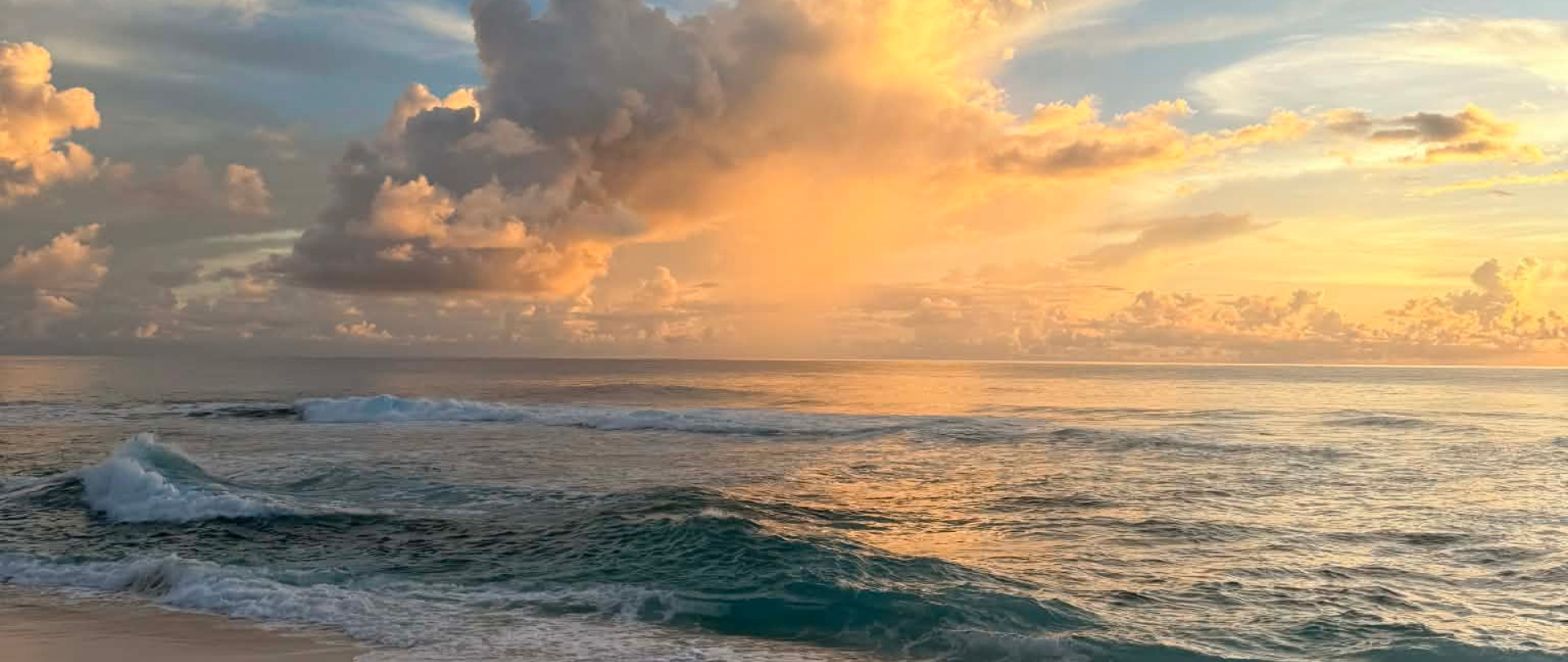Protecting Niulakita’s Future: Tuvaluan Island Prepares for Holistic Ecosystem Restoration