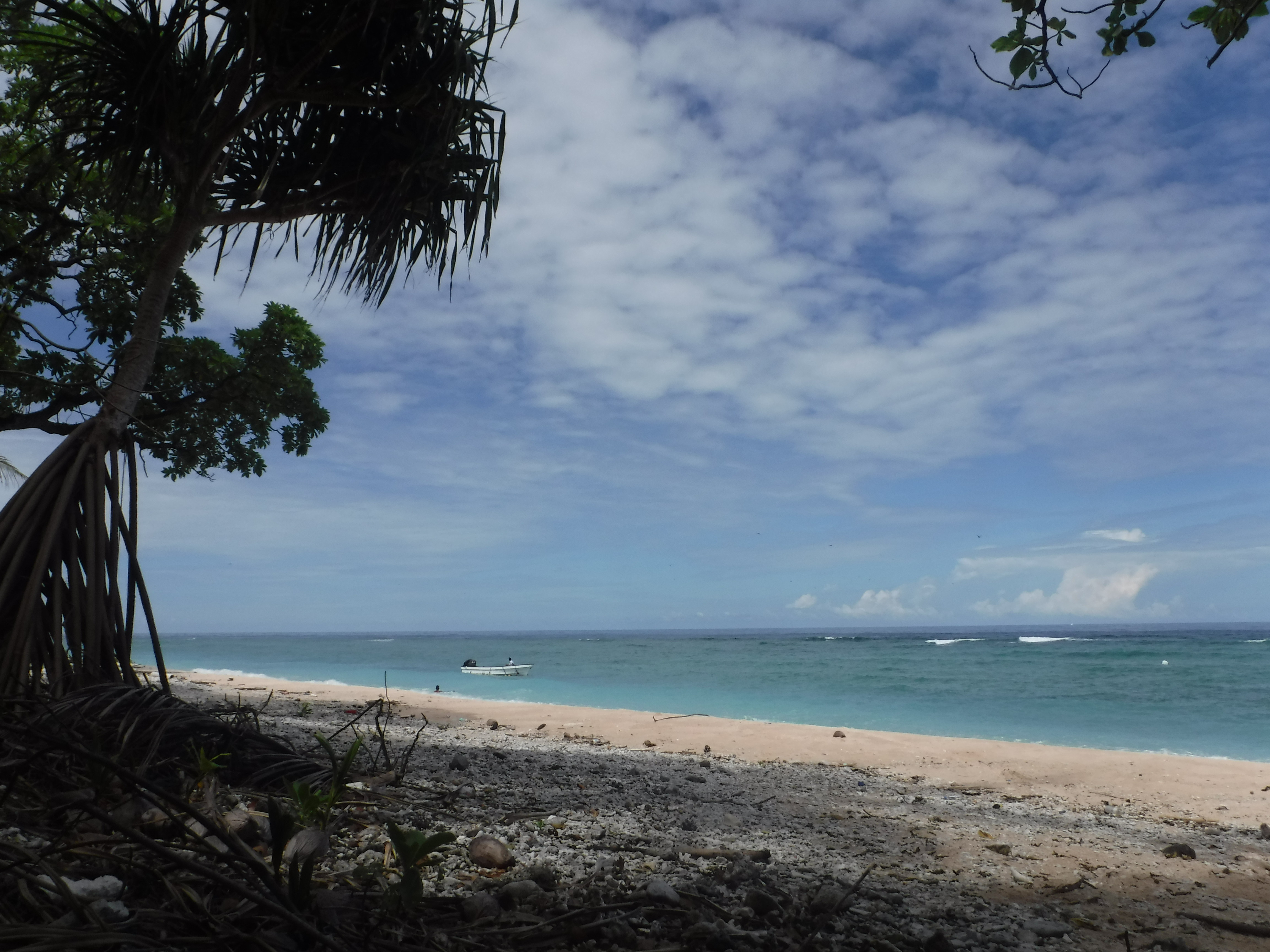 Island_Conservation_Sonsorol_beach