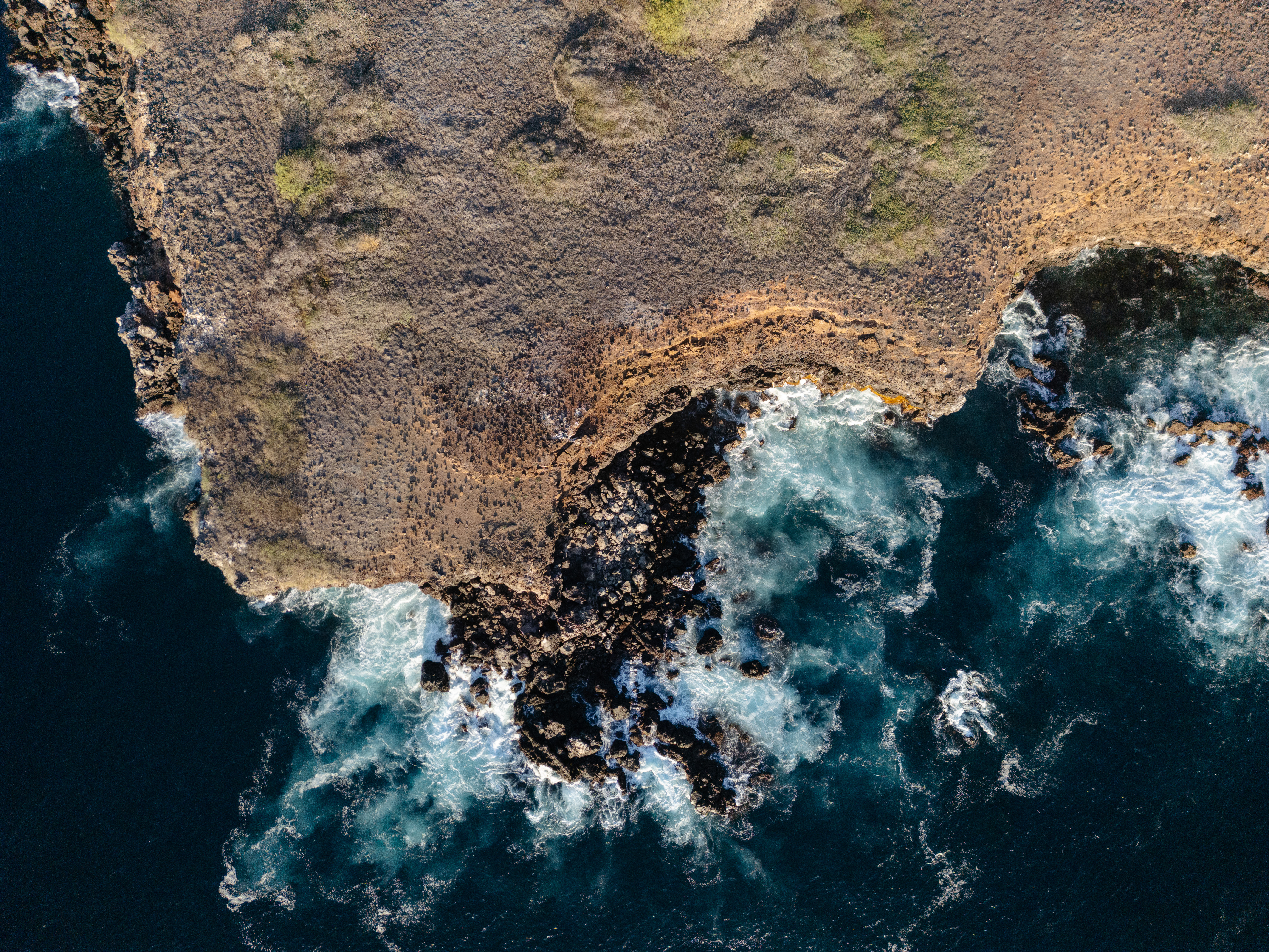 Island_Conservation_Smart_Islands_Monitoring_Featured