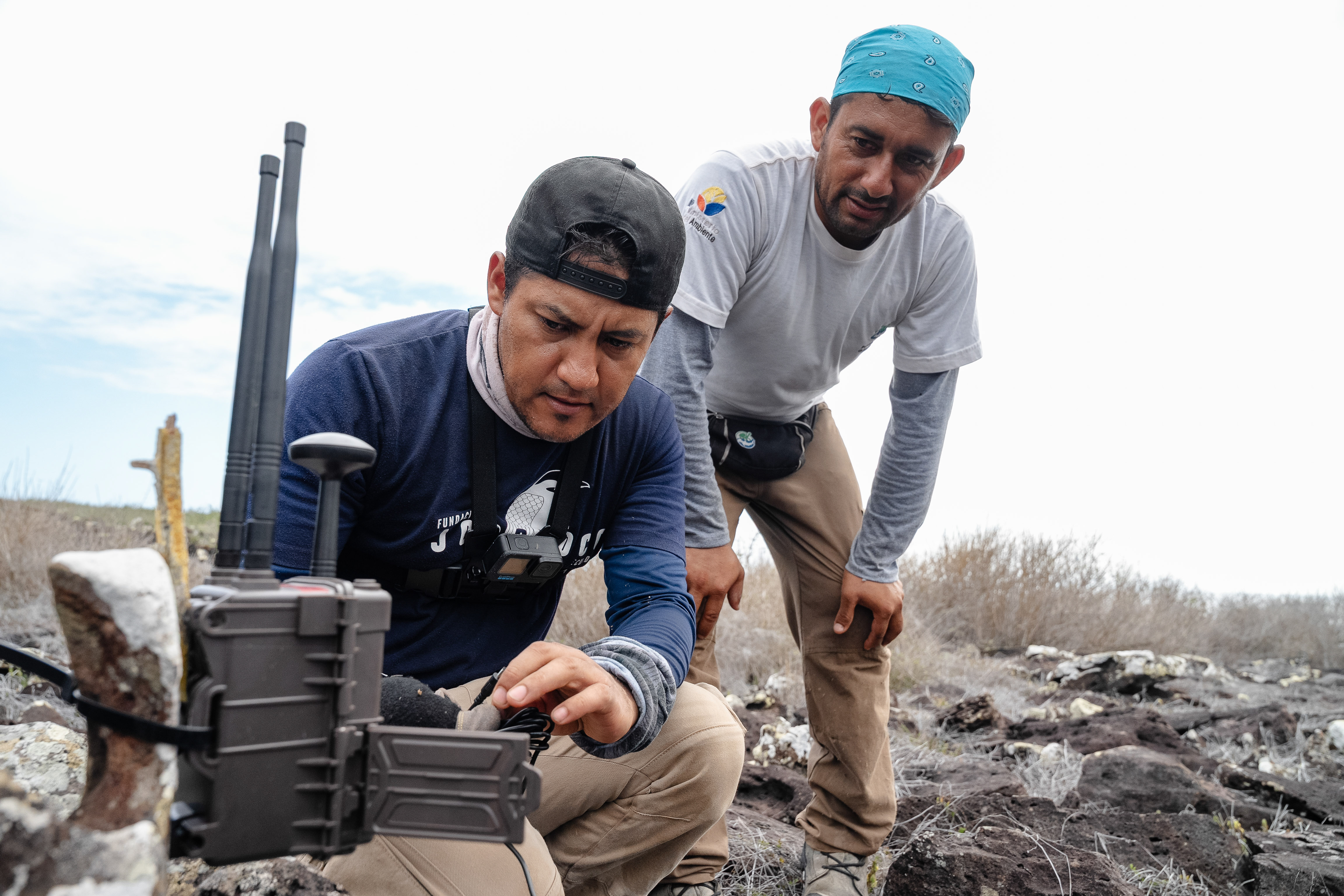 Island_Conservation_Smart_Islands_Monitoring_Featured