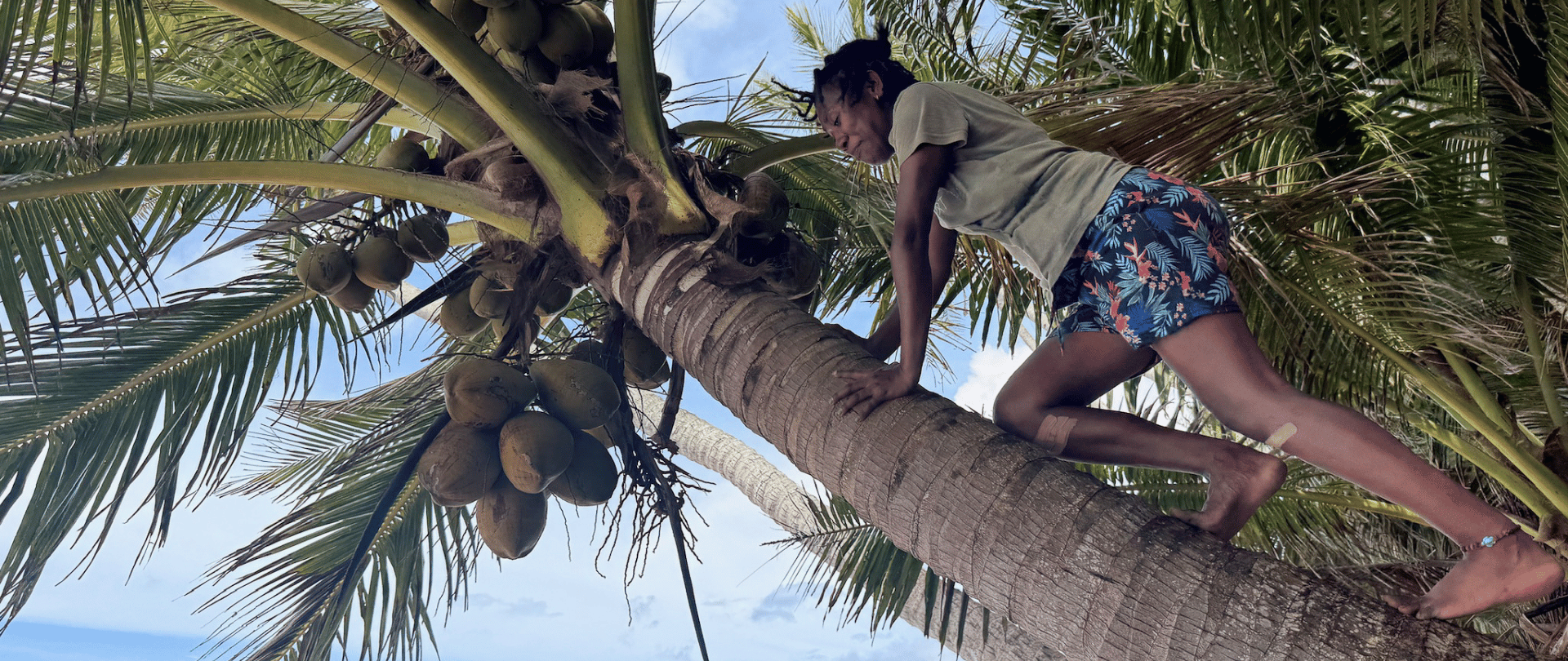 Field Notes: Resilience for a Local Tuvaluan Economy