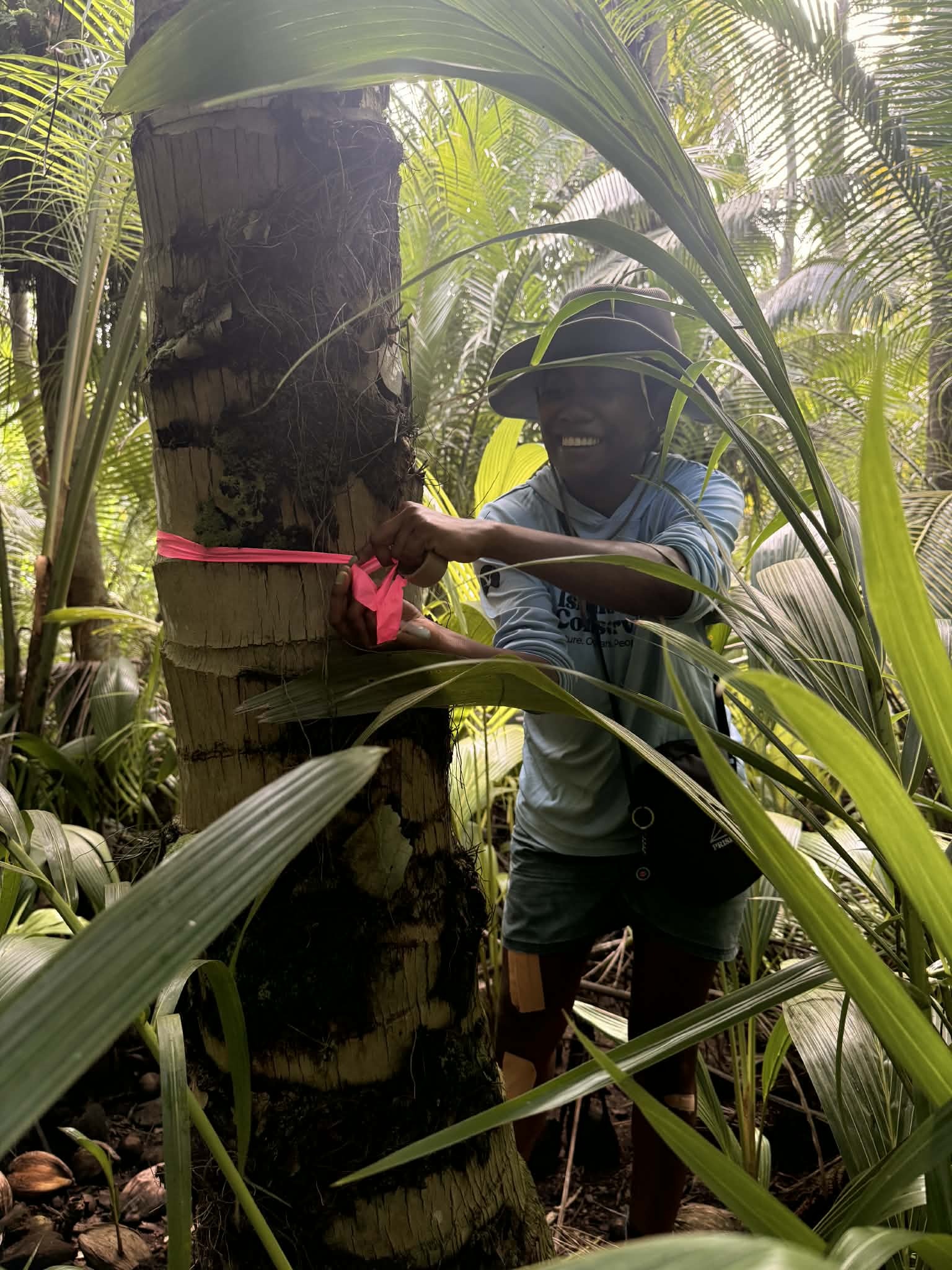 Island_Conservation_niulakita_Priscilla_Memi Island Conservation Island Restoration Specialist Priscilla Amkori Memi marking a vegetation survey point.