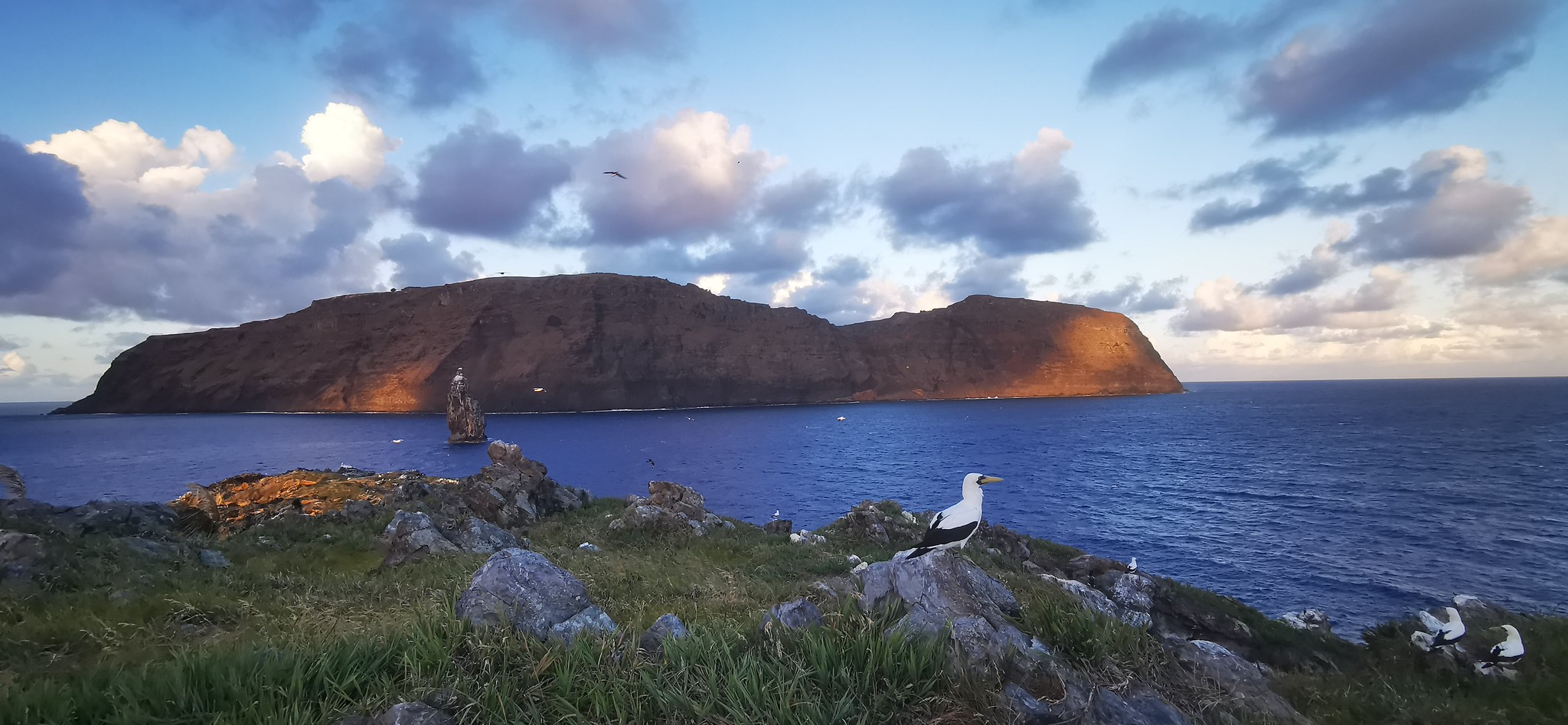Island_Conservation_Rapa_Nui Rapa Nui