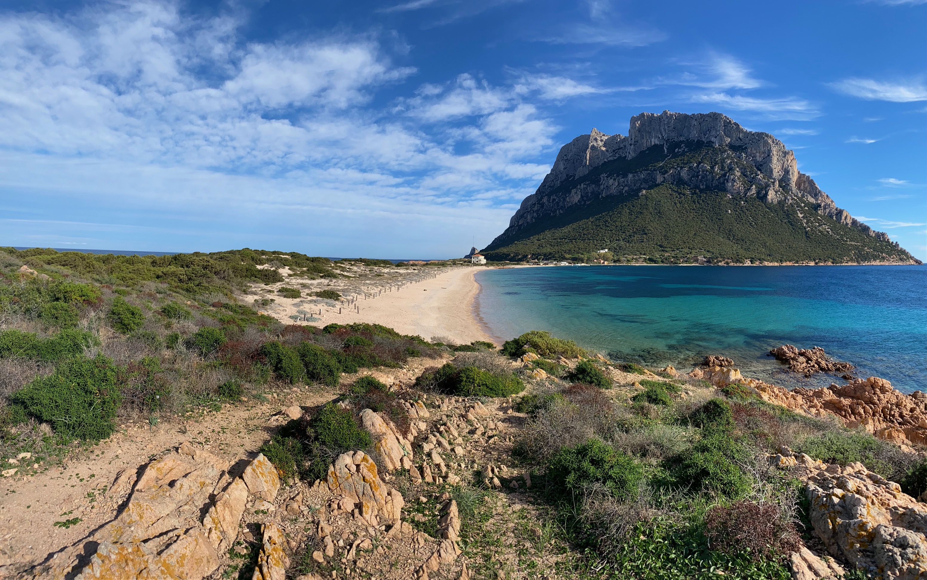 Island-Conservation-Island-Ocean-Connection-Challenge-IOCC-Tavolara