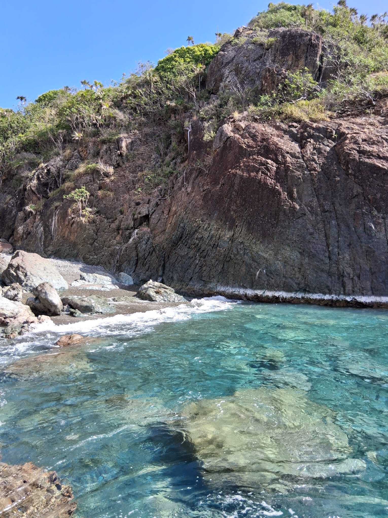 Island_Conservation_Savana_shore