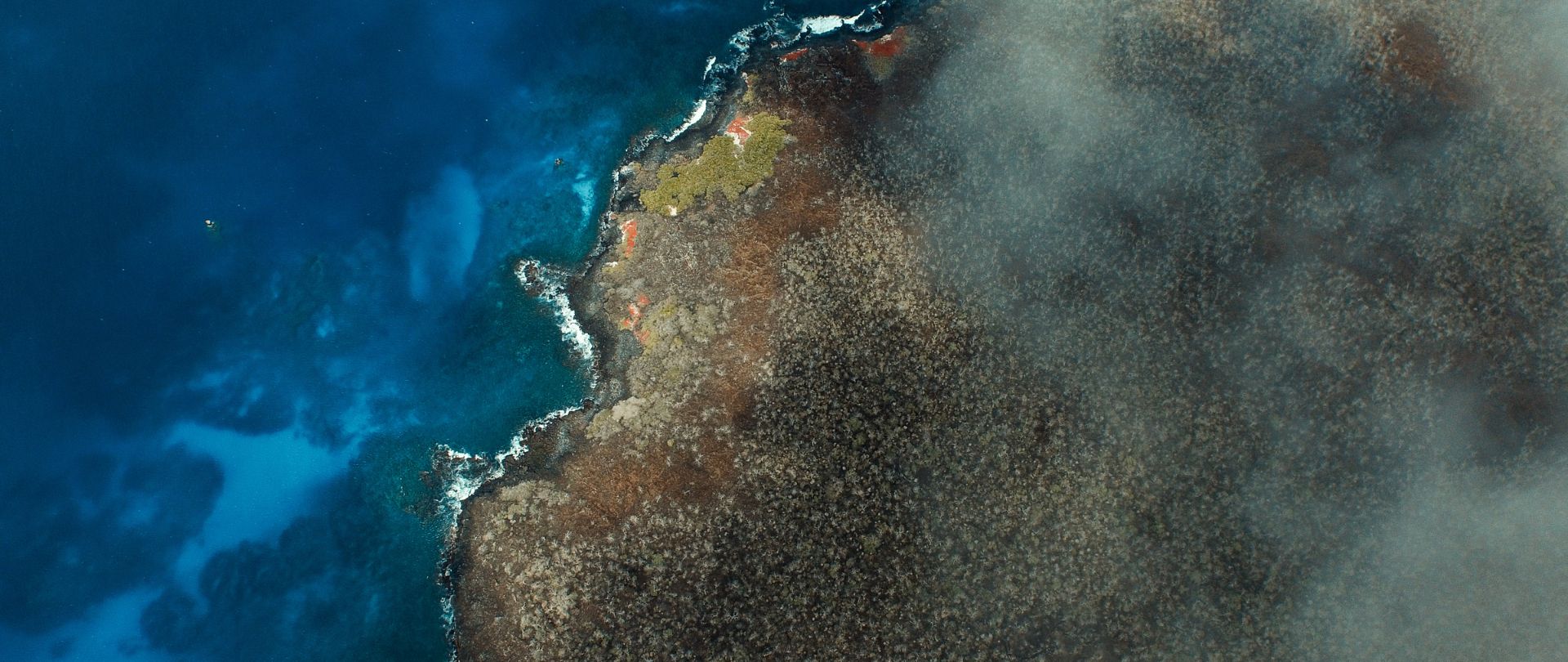 Galapagos Coast