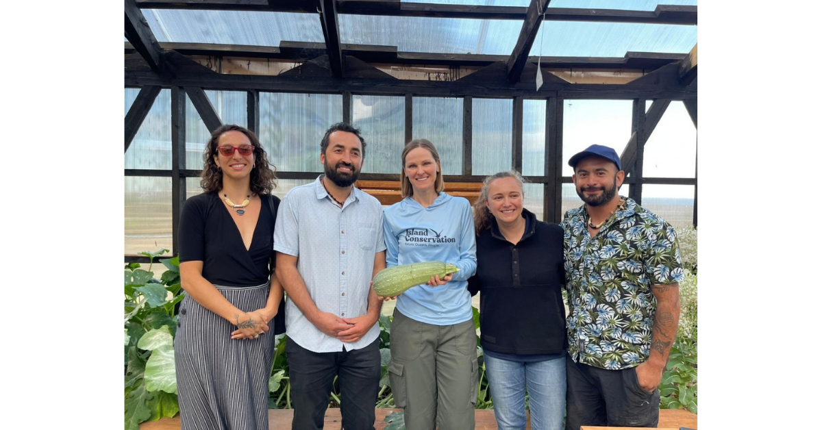 Island-Conservation-Robinson-Crusoe-Greenhouse-food